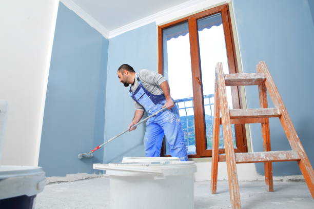 Best Drywall Removal and Disposal  in Amery, WI